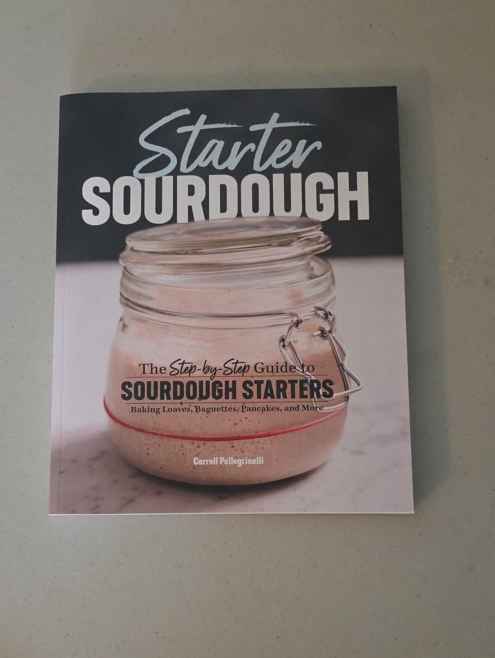 Starter Sourdough Cookbook - Pink Accent Jar Cover